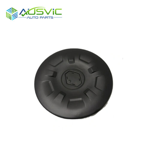 Wheel Hub Cap AM (Without Emblem) Renault Master 2010.05 X62 ~ Current